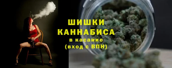 дживик Пересвет