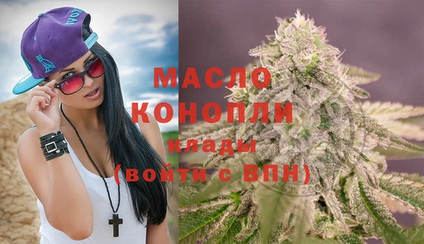 дживик Пересвет