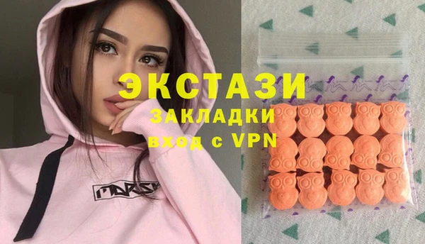 дживик Пересвет
