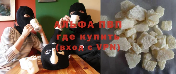 дживик Пересвет