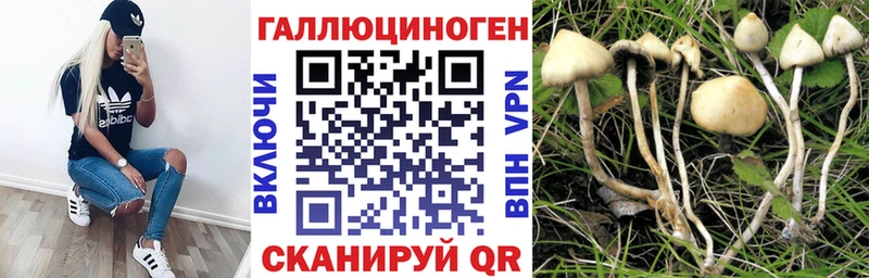 Псилоцибиновые грибы Psilocybine cubensis  ссылка на мегу ТОР  Янаул  где продают наркотики 